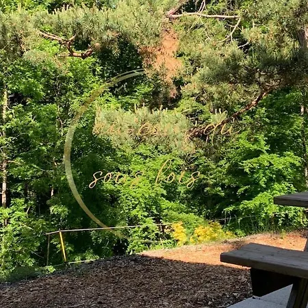 Au Coin Du Sous Bois Διαμέρισμα