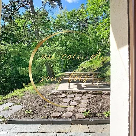 Au Coin Du Sous Bois *