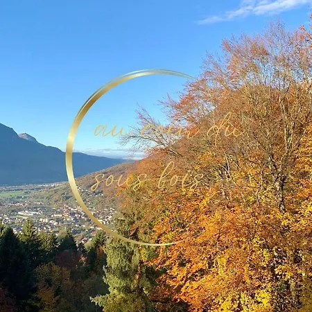 Au Coin Du Sous Bois Διαμέρισμα Thyez